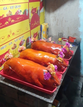 HEO SỮA QUAY GIÒN BAO LÂU