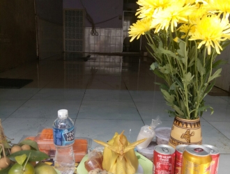 GÀ CÚNG CHUYỂN NHÀ MỚI