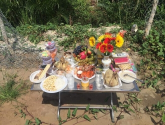 GÀ CÚNG ĐẤT