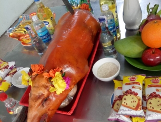 HEO CÚNG ĐỘNG THỔ