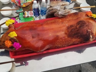 HEO CÚNG XƯỞNG SẢN XUẤT