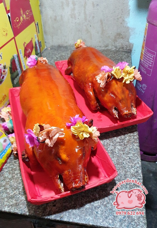 Nguồn gốc heo ở đâu