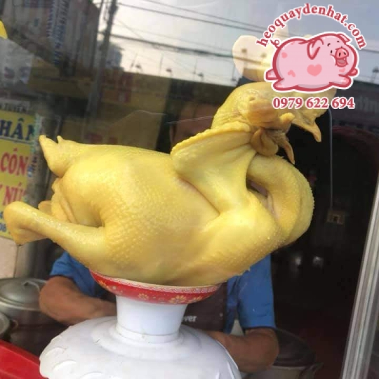 GÀ CÚNG LUỘC