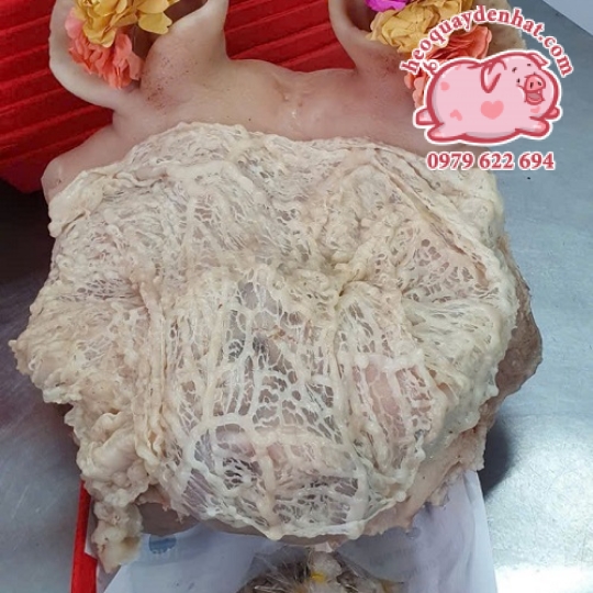 THỦ DĨ LUỘC